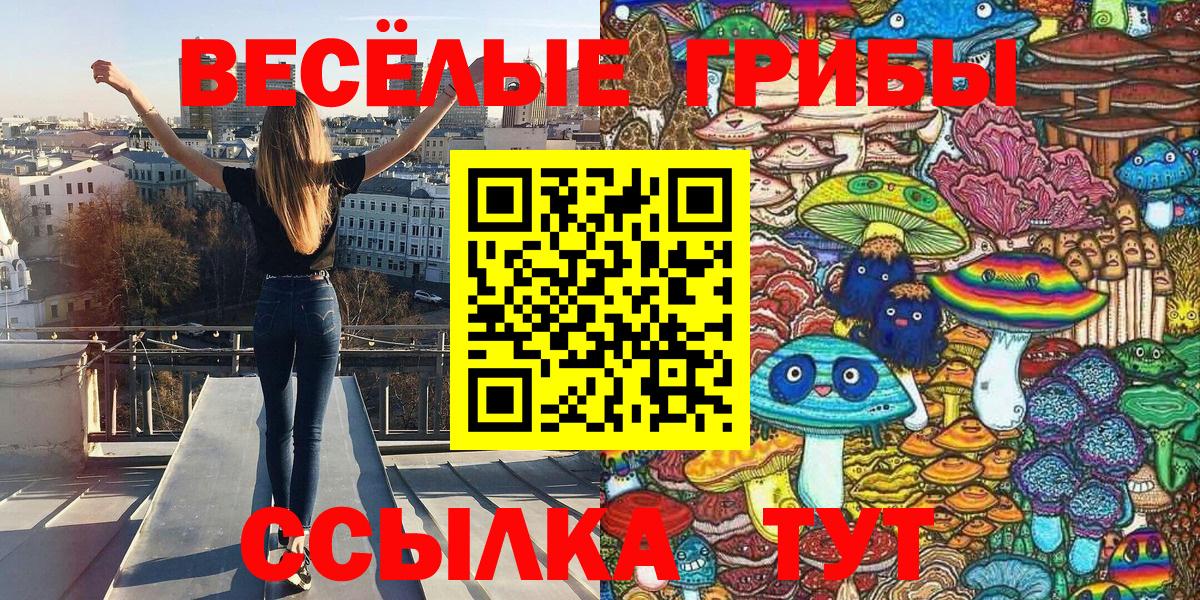 Псилоцибиновые грибы мицелий  Псилоцибиновые грибы GOLDEN TEACHER  Кемерово  Вход с VPN 